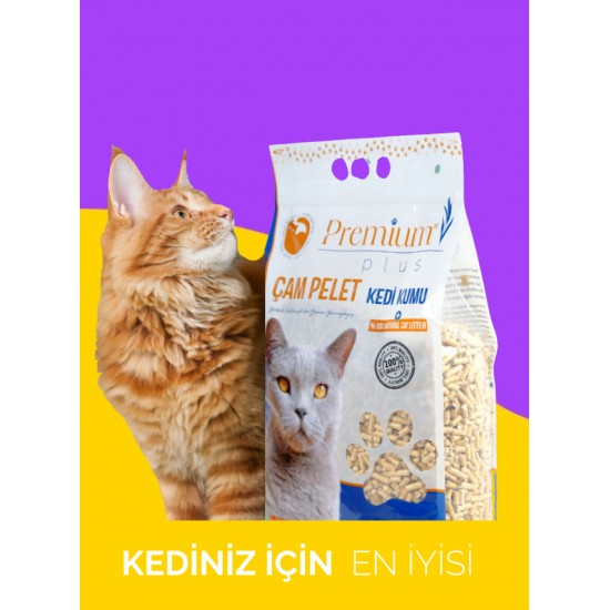 Premium Plus Cam Peleti Kedi Kumu
